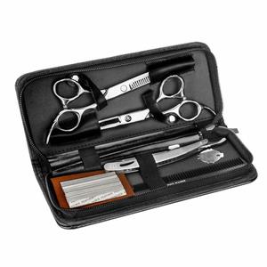 Peigne, deux ciseaux pour coiffeur, ce kit est vraiment complet